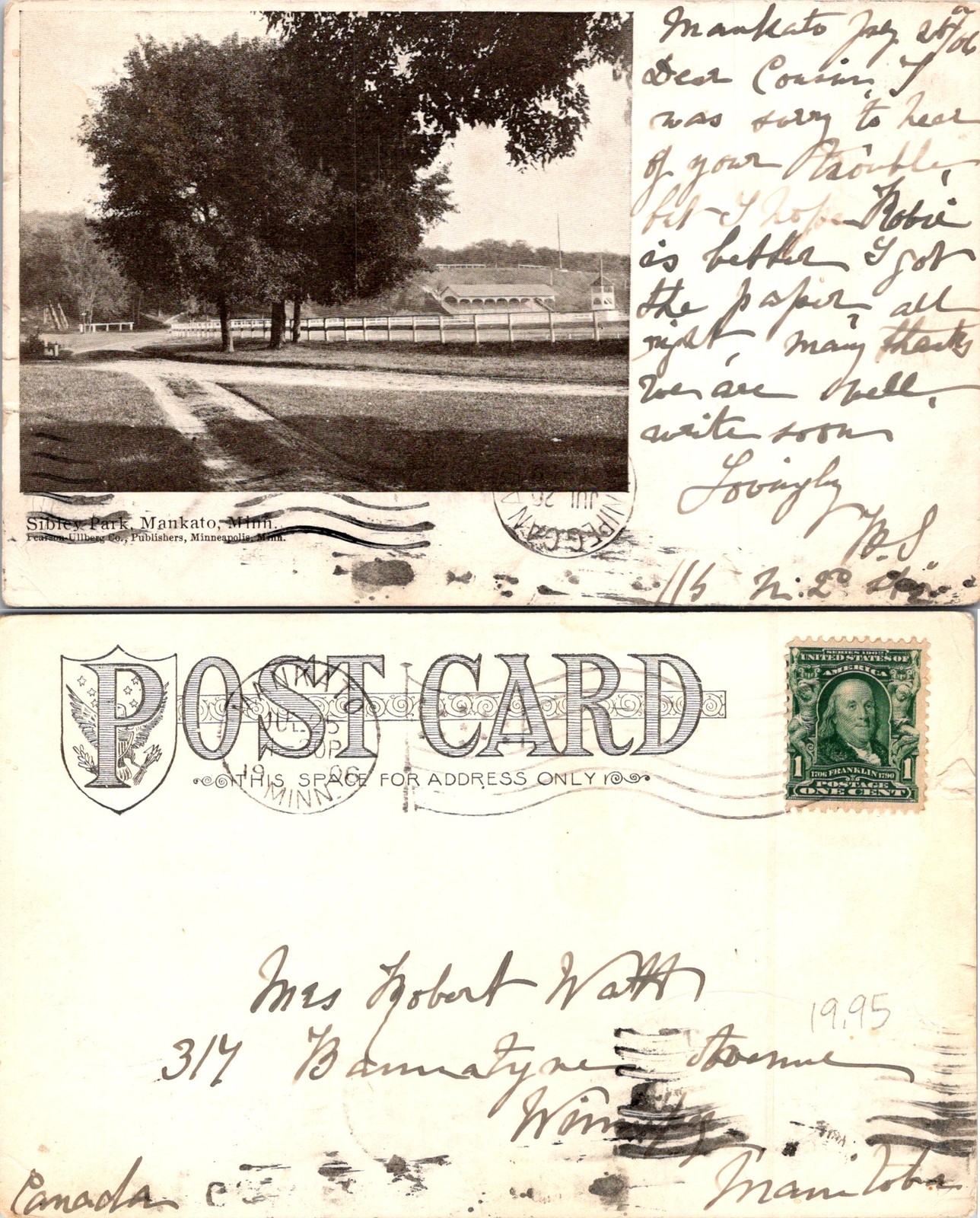 Mankato MN Sibley Park, Black & White Tree Postcard 72059