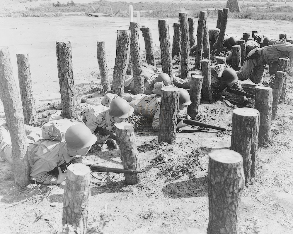Massachusetts Camp Edwards Asparagus Patch WWII 8x10 Glossy Print HT4136294