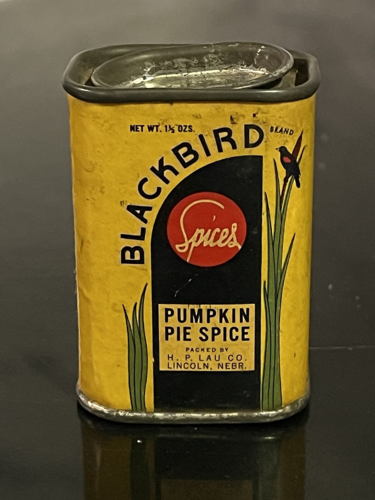 Vintage Blackbird Brand Pumpkin Pie Spice Tin 1.5 oz Halloween Harvest RARE