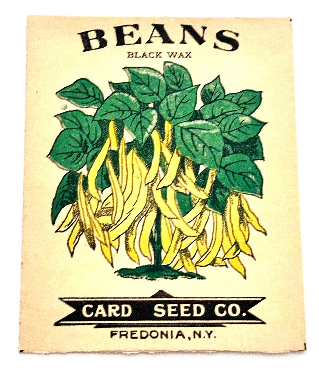 Card Company Fredonia New York Paper Black Wax Beans Seed Packet Card Company Fredonia New York Paper Black Wax Beans Seed Packet