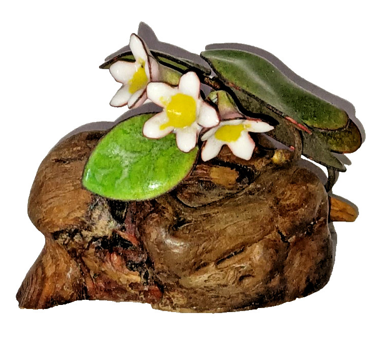 Vtg Norman Brumm Folk Art Enamel Jasmine? Flowers & Leaves Sculpture Burl Wood Vtg Norman Brumm Folk Art Enamel Jasmine? Flowers & Leaves Sculpture Burl Wood