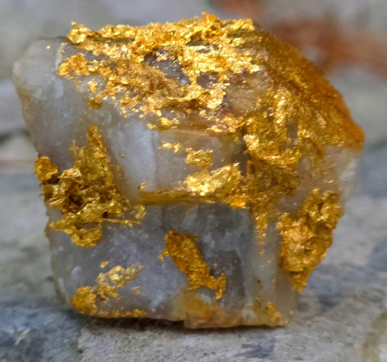 Gold Ore Specimen 20.56g Rich Gold Tellurides ☆Tariff Paid Shipping☆