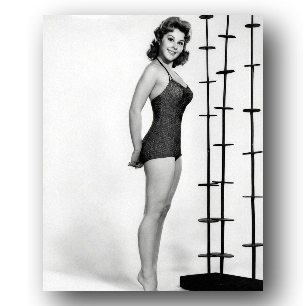 Sherry Jackson Photo 8x10 Swimsuit Portrait 1960 United States Sherry Jackson Photo 8x10 Swimsuit Portrait 1960 United States