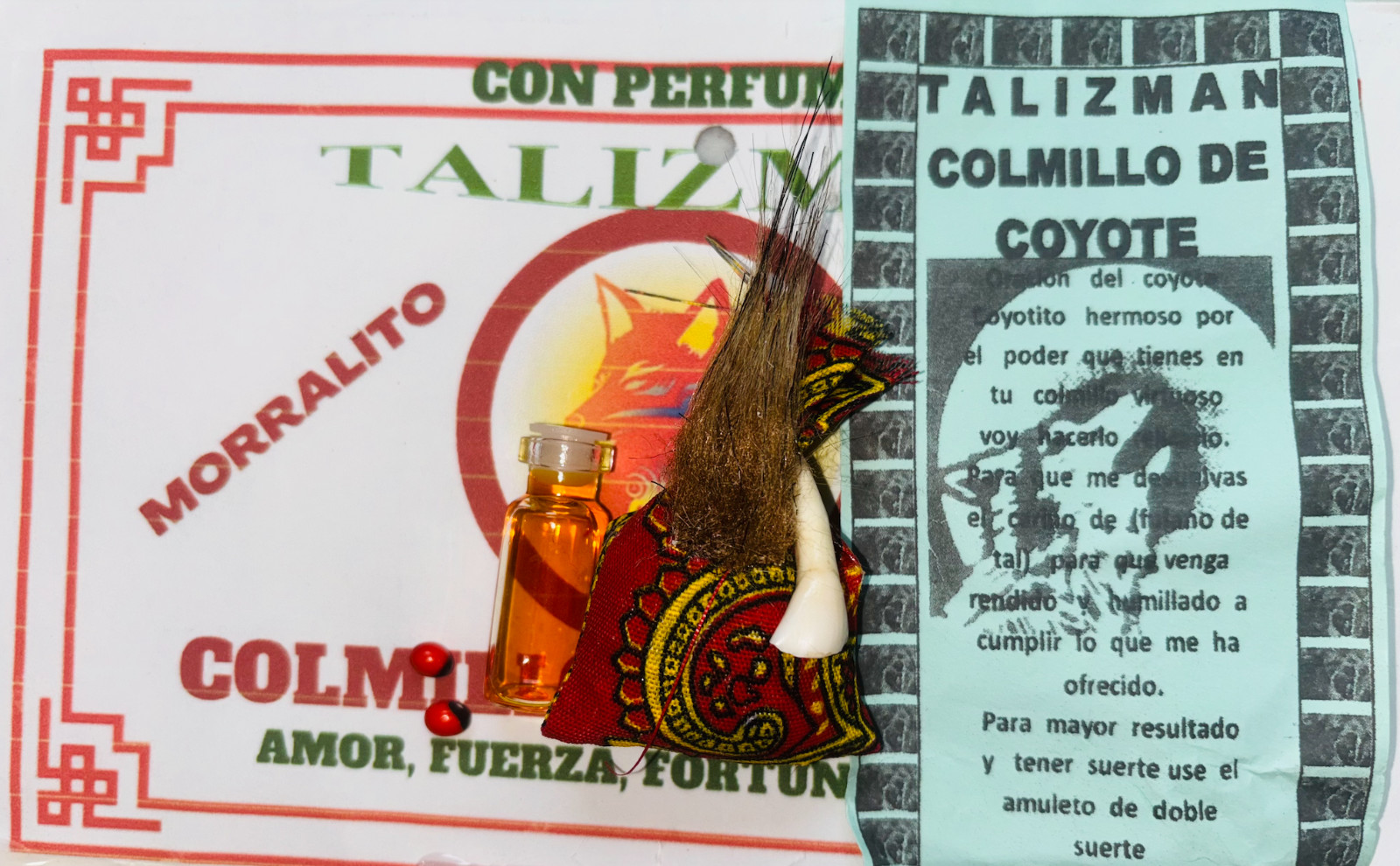 COLMILLO DE COYOTE Amuleto Talisman para Eliminar obstaculos y romper brujeria COLMILLO DE COYOTE Amuleto Talisman para Eliminar obstaculos y romper brujeria