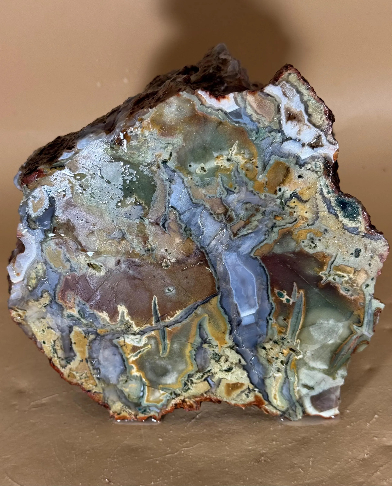 RARE High Grade Hampton Butte Petrified Wood Rough 9.07LBS
