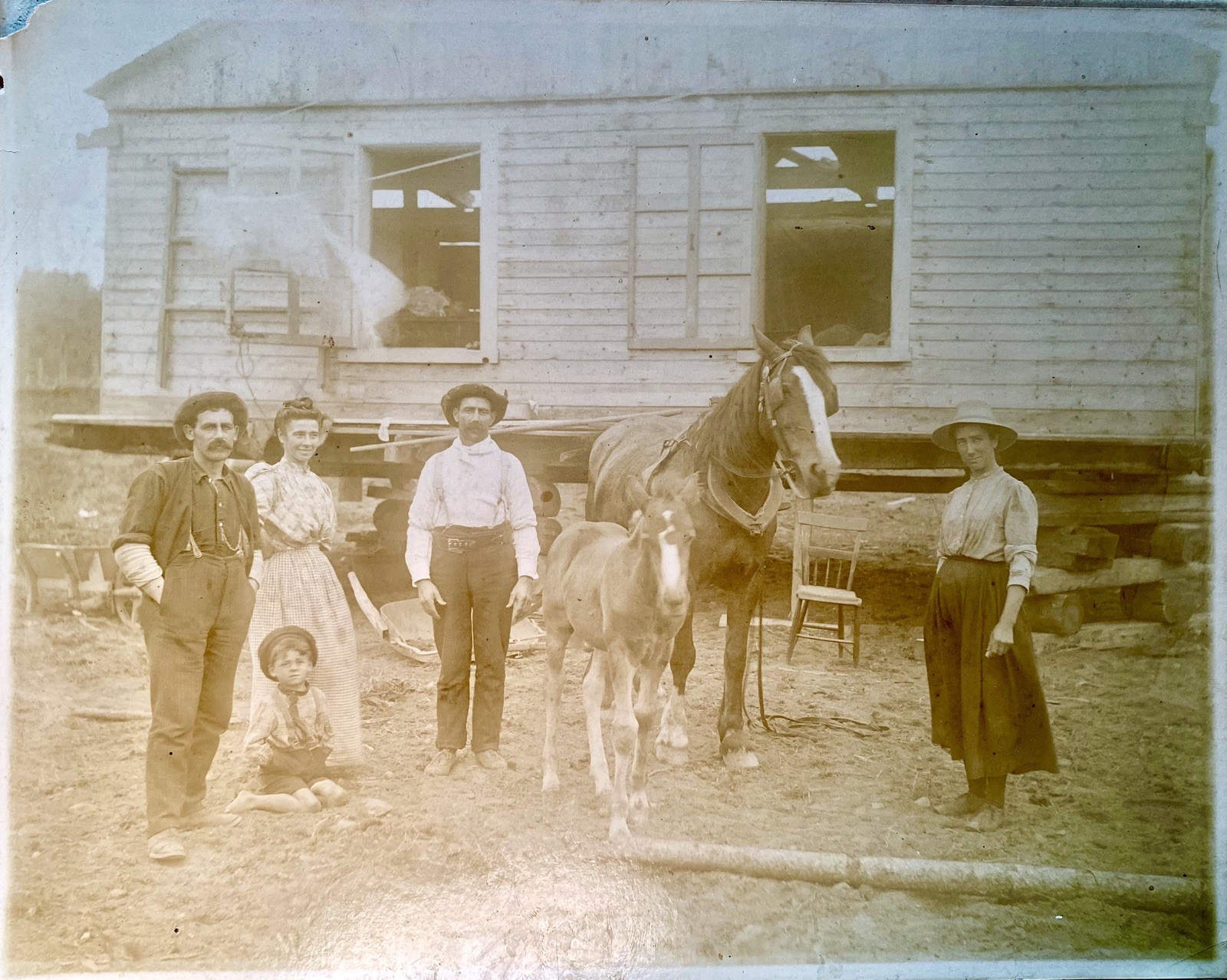 Rare Vintage Original Photo c1880s Canada North America Big Format Family House