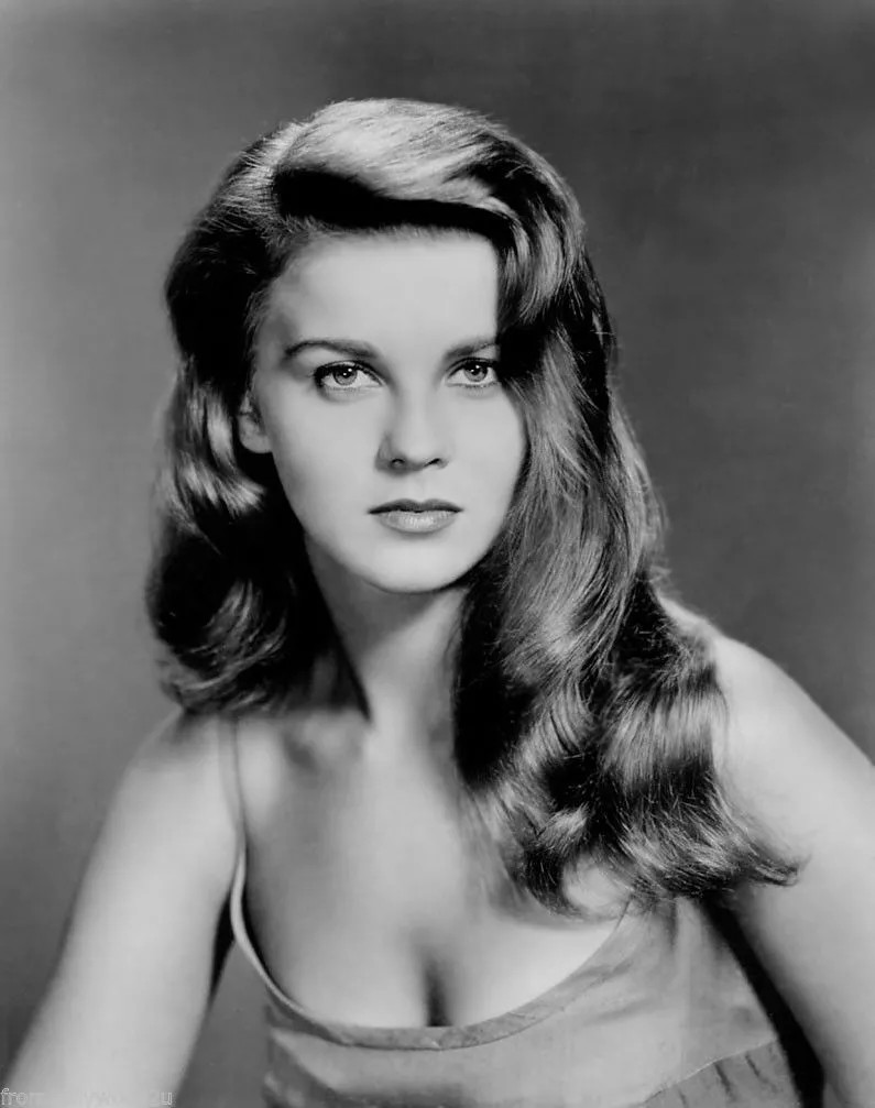 Ann Margret Young Black And White 8x10 Picture Celebrity Print Ann Margret Young Black And White 8x10 Picture Celebrity Print