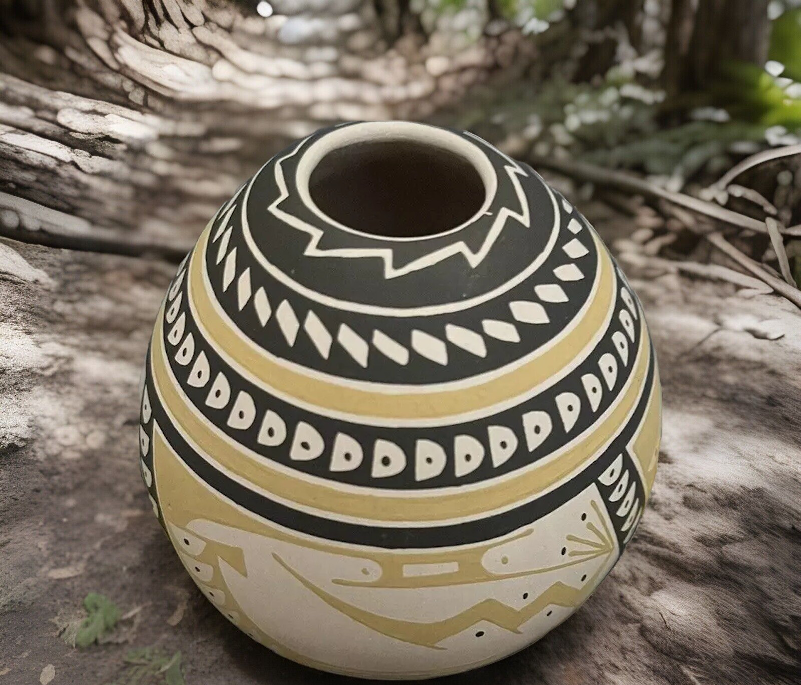 Mata Ortiz Pottery Seed Pot Ana Veloz Paquime Olla Vase Mexico Art Contemporary Mata Ortiz Pottery Seed Pot Ana Veloz Paquime Olla Vase Mexico Art Contemporary
