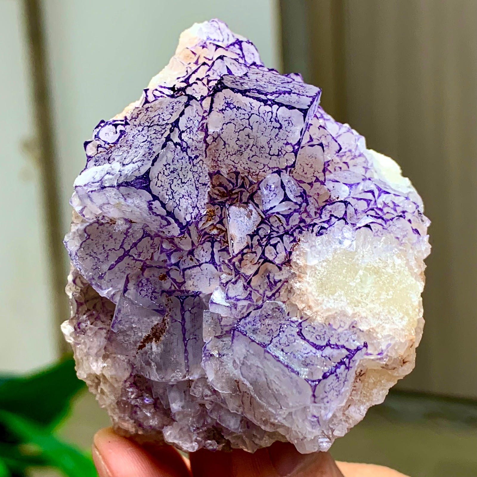 187G Natural Purple \