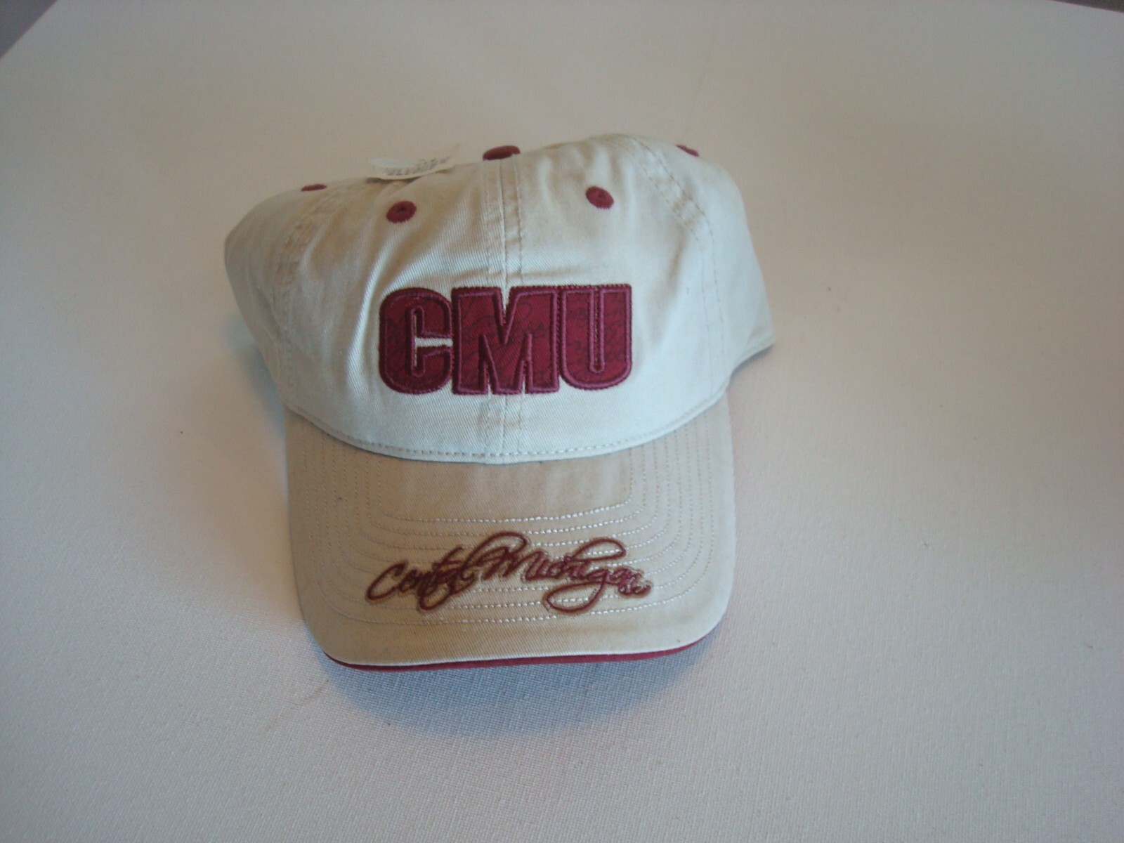 CENTRAL MICHIGAN CMU   BEACH GOLF STRAPBACK DEADSTOCK HAT CAP VINTAGE P1