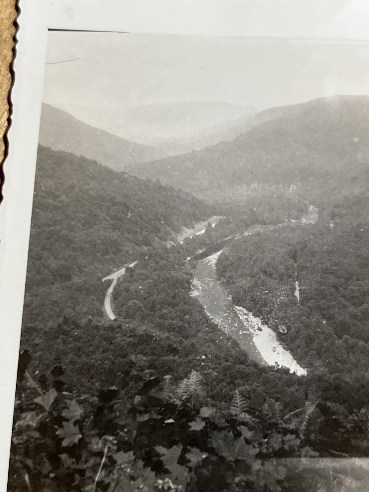 Vintage Snapshot Photo Allegheny Mountains of Pa 1940s -- U3