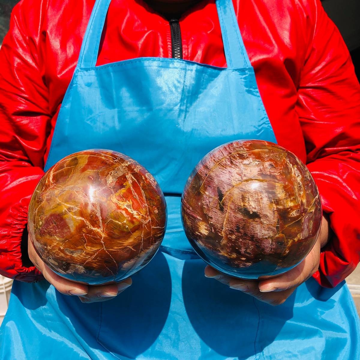 6.82LB 2pcs Natural petrified wood crystal fossil ball shaped mineral specimen