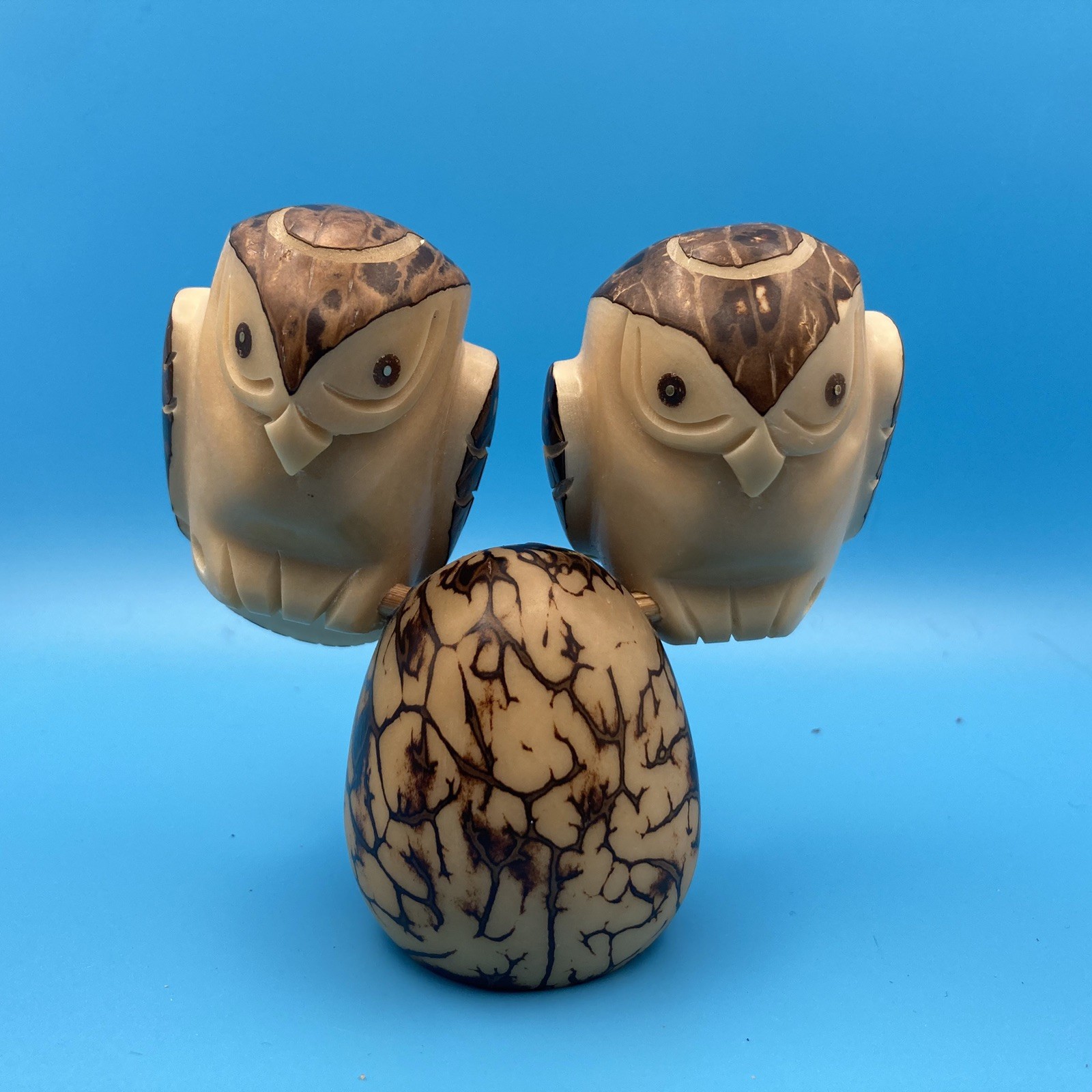 Twin Owls on \