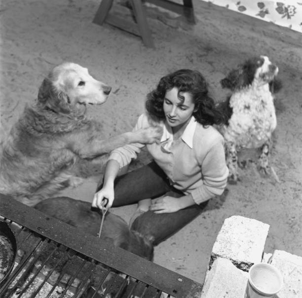 British born actress Elizabeth Taylor surrounded dogs a barbecue 1949 Old Photo
