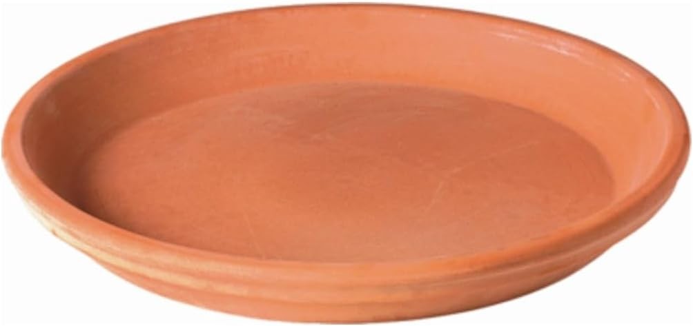Terra Cotta 3\ Terra Cotta 3\