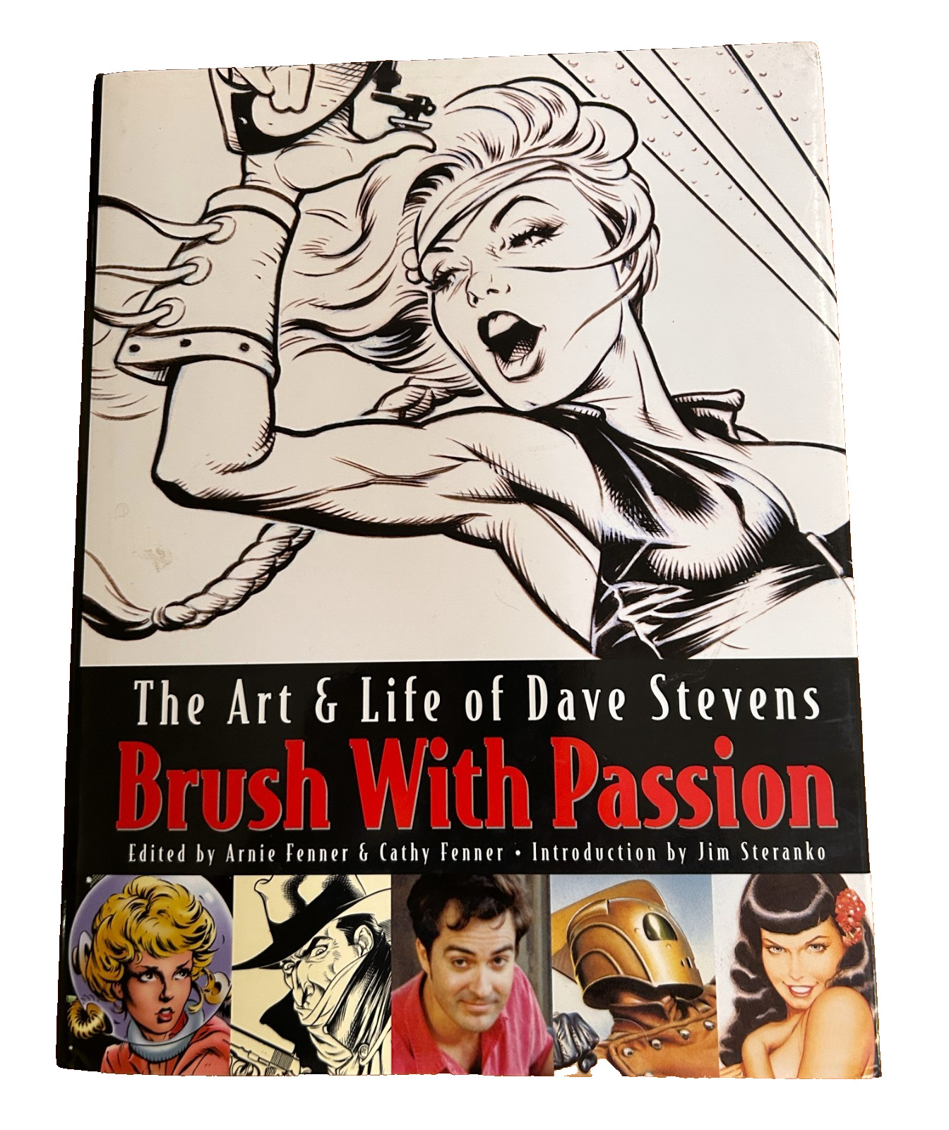 BRUSH WITH PASSION : The Art and Life of Dave Stevens -2008 - GORGEOUS COPY
