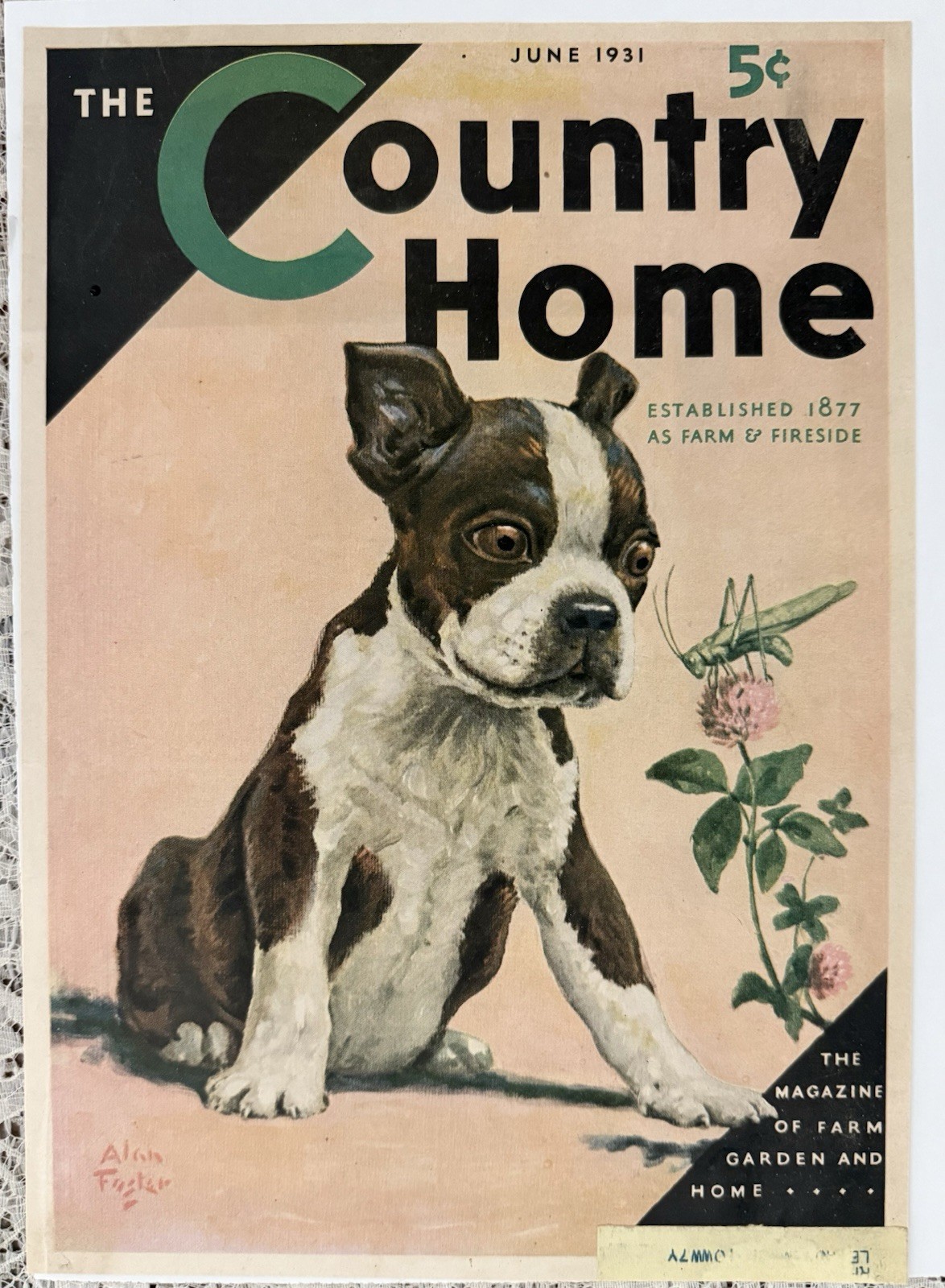 1931 MAGAZINE COVER BOSTON TERRIER THE COUNTRY HOME HTF