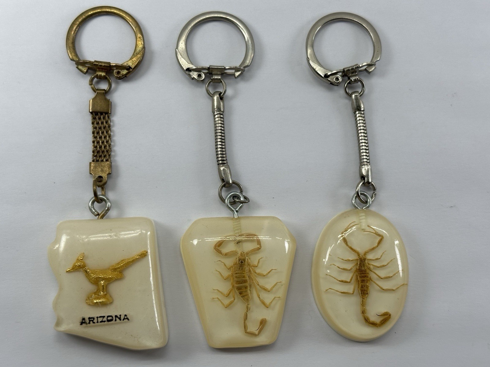 Vintage Arizona Desert Roadrunner & Scorpions Encased in Resin Keychain Lot of 3