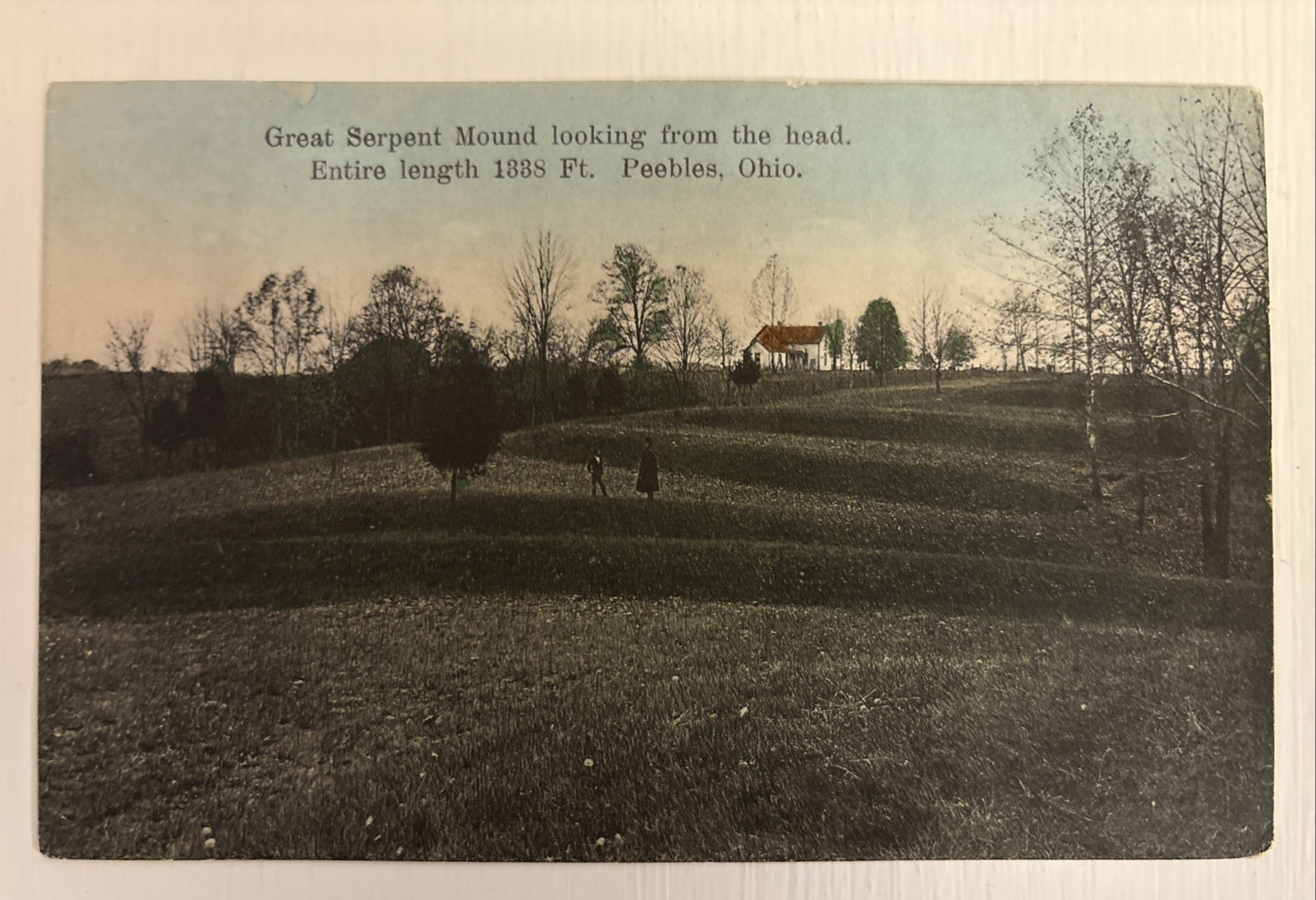 1908 Great Serpent Mound Looking From The Head Peebles Ohio 1338 Ft. Postcard 