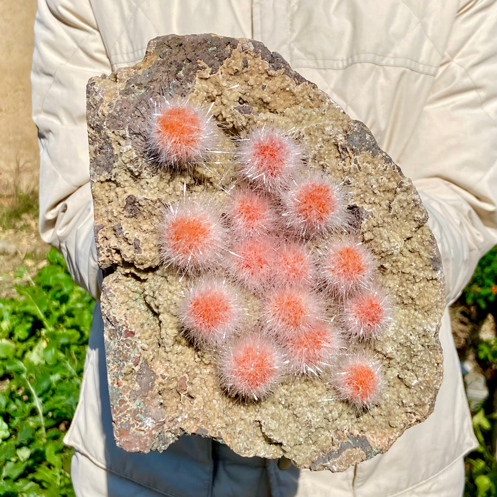 4.9LB  Indian dandelion zeolite Quartz Crystal Cluster Mineral Specimen