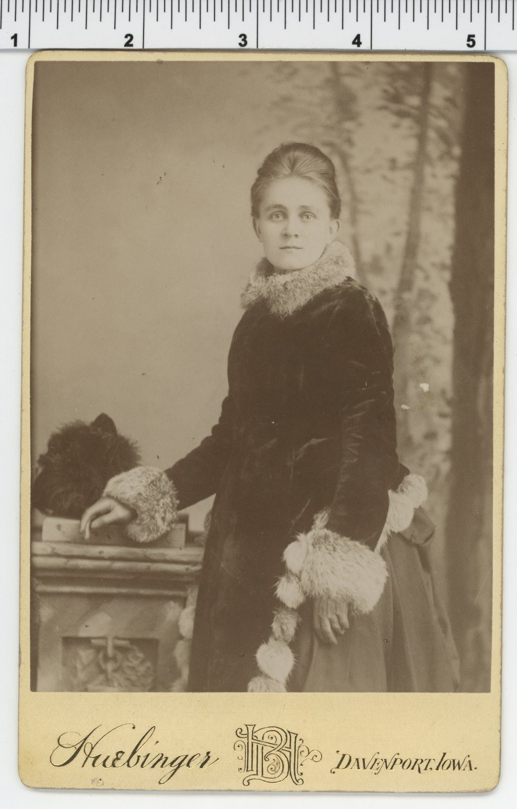 Vintage 1910's CABINET CARD photo / CLARA of Davenport IOWA - FURS Pelts Remains