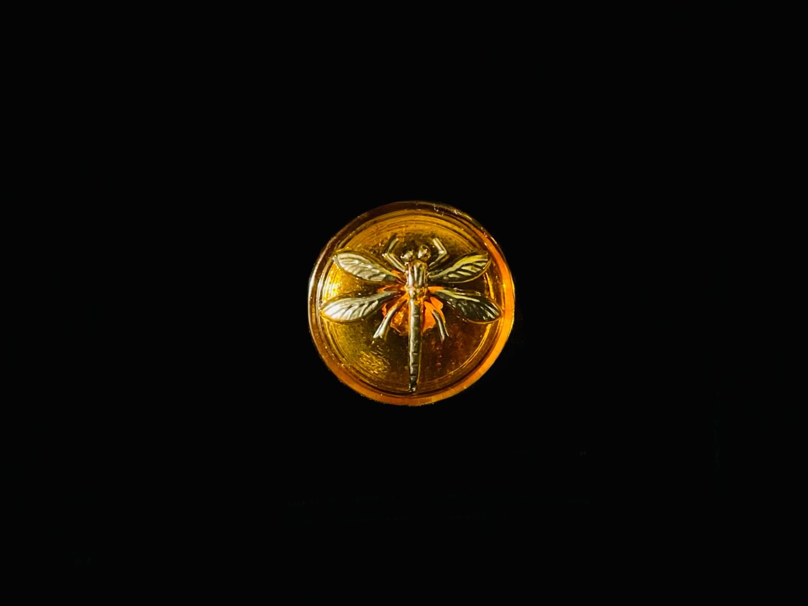 18mm Czech Dragonfly Button Amber Gold AB Backed With Metal Shank