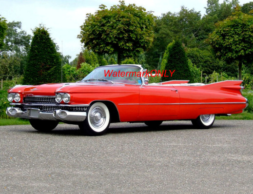 1959 Cadillac Convertible \ 1959 Cadillac Convertible \