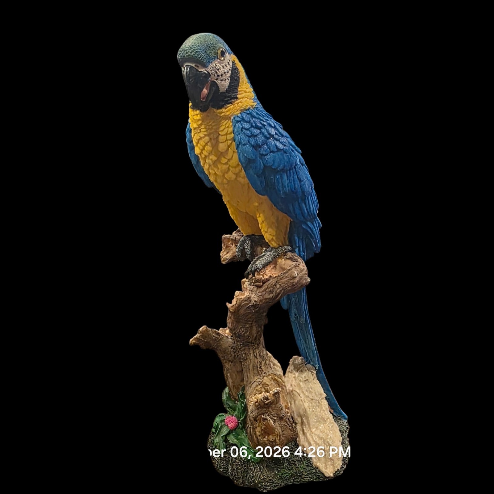 Blue & Gold Macaw Parrot Figurine 14\