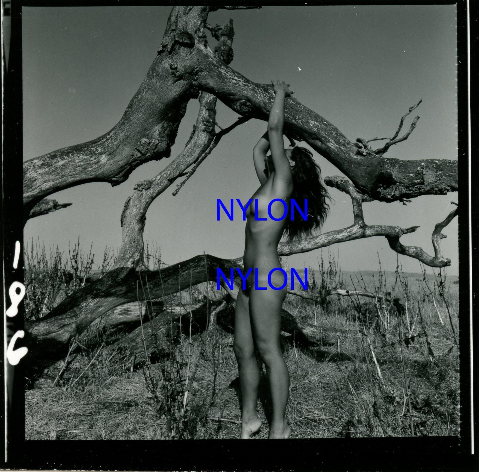 RARE VINTAGE 2 1/4 x 2 1/4 PHOTOGRAPH OF A NUDE MODEL BY ANDRE DE DIENES