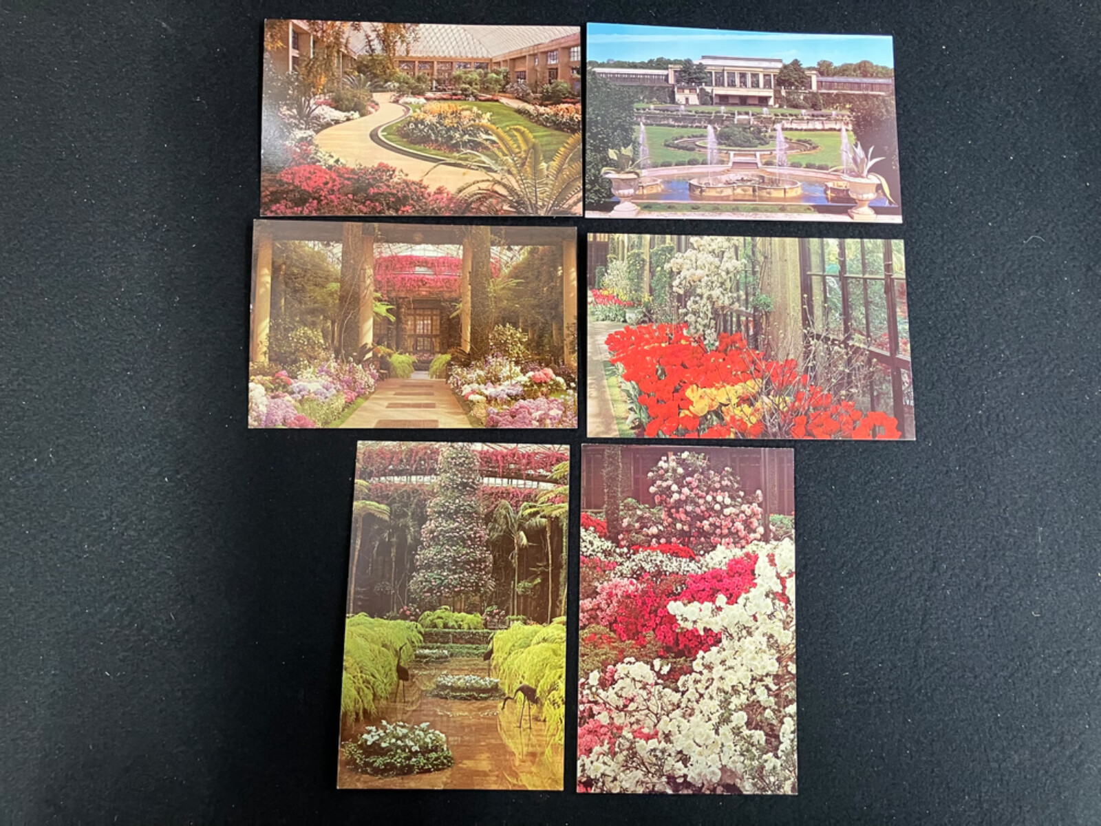 VINTAGE LONGWOOD GARDENS, KENNETT SQUARE, PA RPPC REAL PHOTO POSTCARDS, LOT OF 6