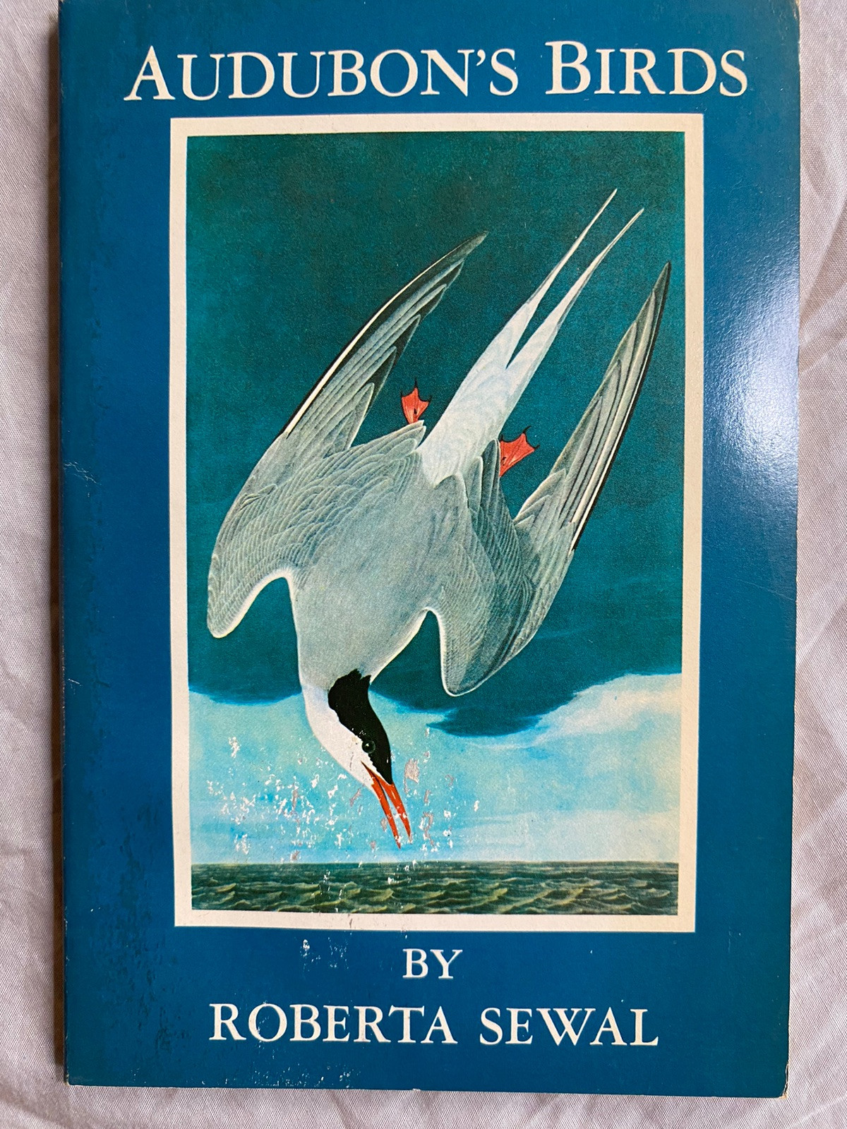 Audubon\'s Birds 1967 Paperback Audubon\'s Birds 1967 Paperback