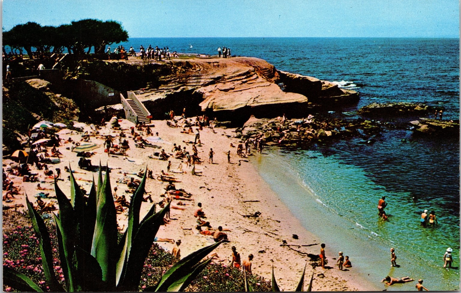 Vintage La Jolla Cove California Postcard People Swimming and On The Sandy Beach Vintage La Jolla Cove California Postcard People Swimming and On The Sandy Beach