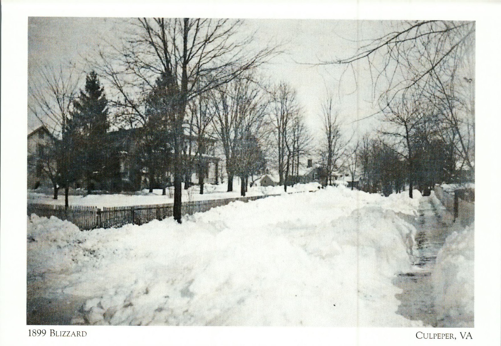 *Postcard- *Postcard-