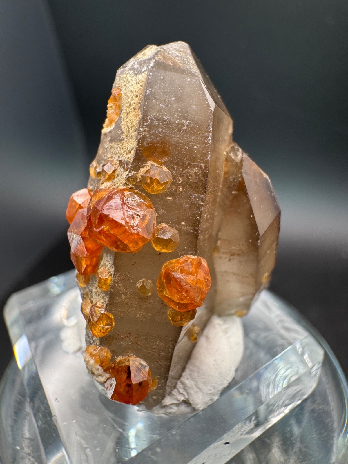 6851 Bright Orange Garnets on and in Smoky Quartz Point Fu Jian 12g 6851 Bright Orange Garnets on and in Smoky Quartz Point Fu Jian 12g