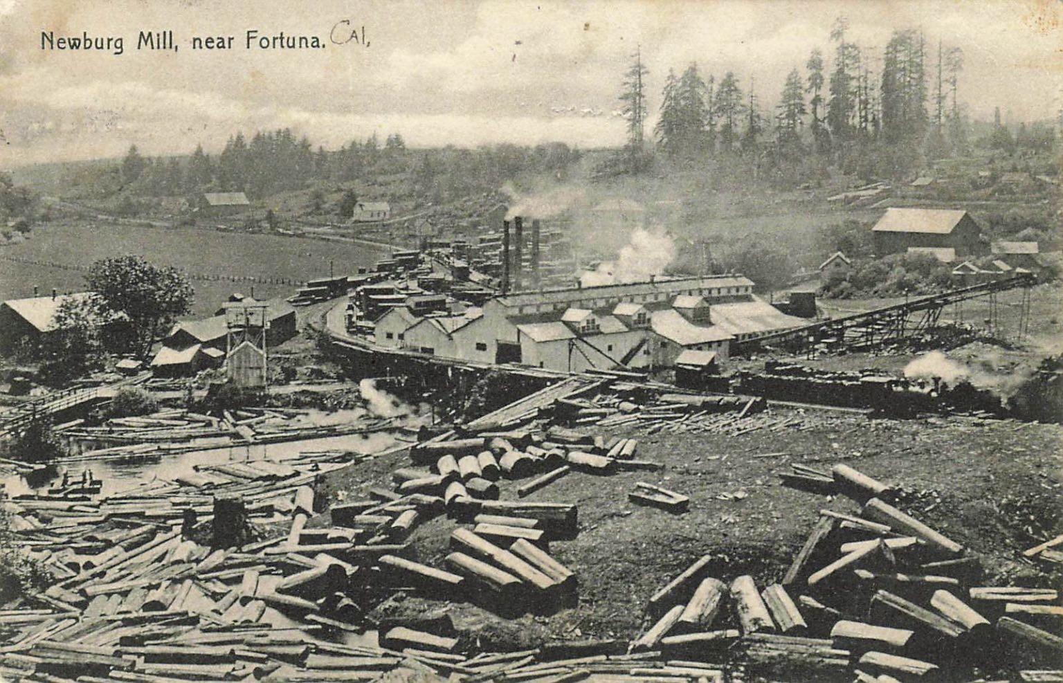 1908 Newburg Mill Fortuna California Logging Sawmill Steam Train Postcard Bowman 1908 Newburg Mill Fortuna California Logging Sawmill Steam Train Postcard Bowman