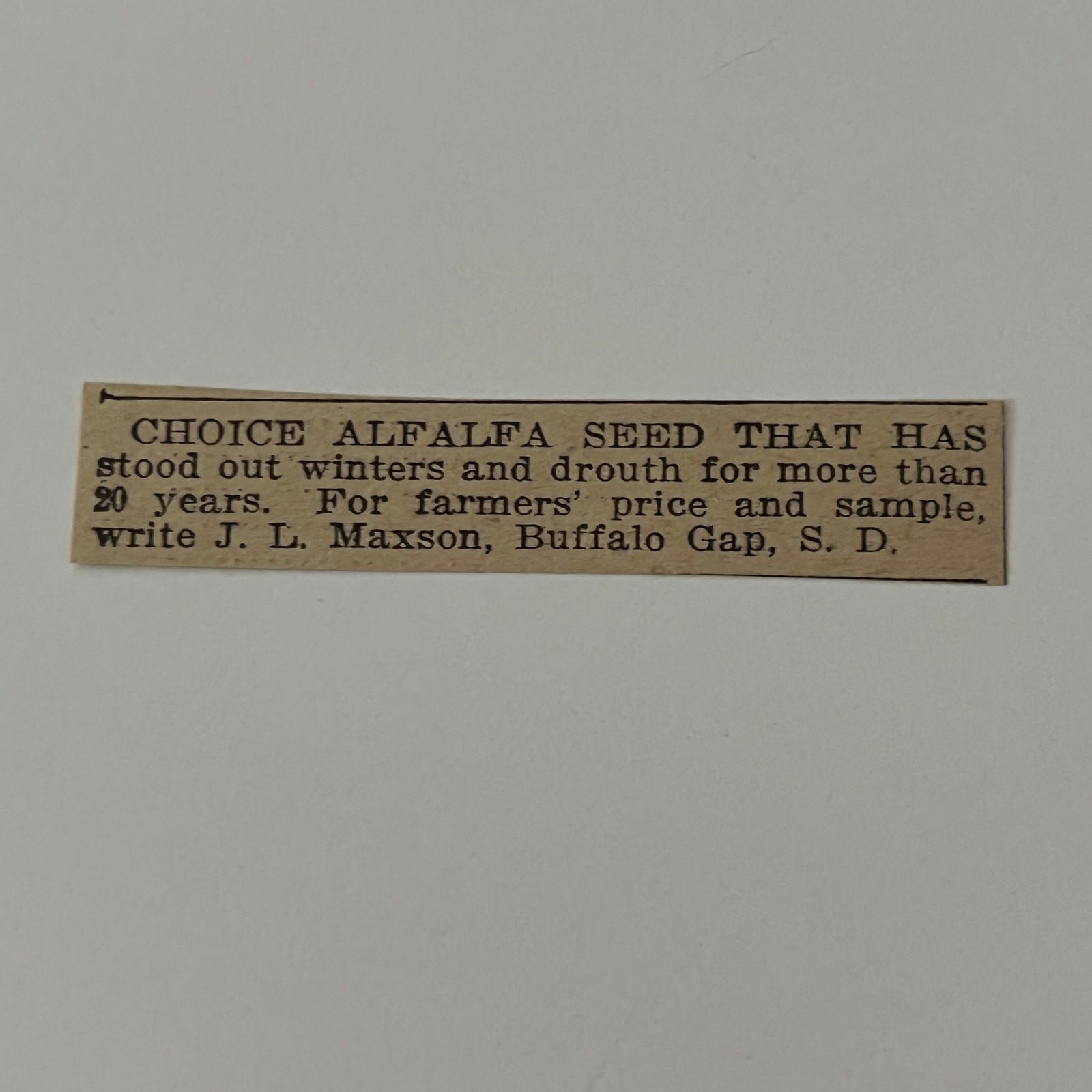 Choice Alfalfa Seed J.L. Maxson Buffalo Gap SD 1911 Ad SAG9-S10 Choice Alfalfa Seed J.L. Maxson Buffalo Gap SD 1911 Ad SAG9-S10