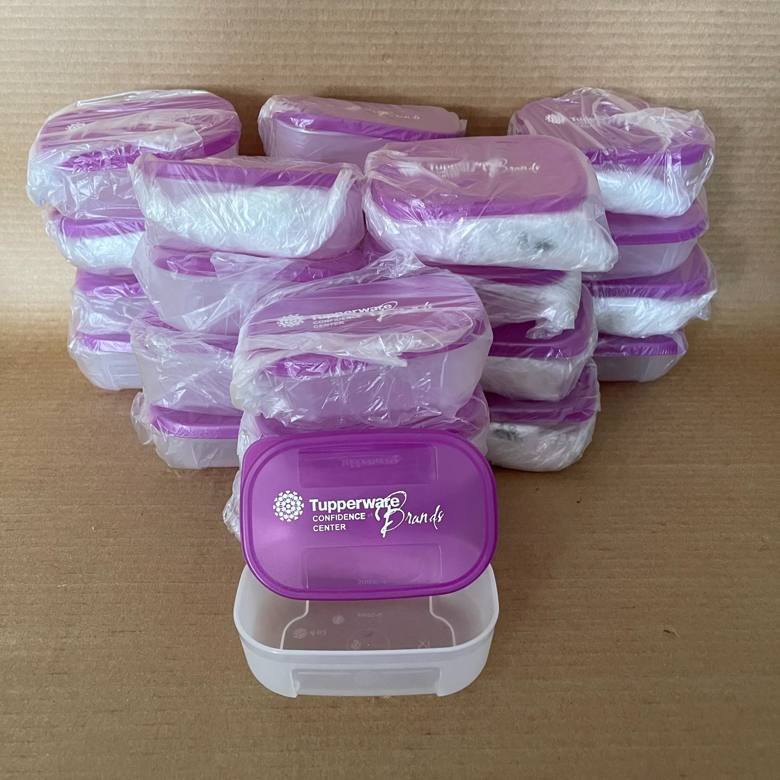 Tupperware Freezer Mates Mini 4 oz Container 4160 Purple Seal Bulk Lot Set of 24 Tupperware Freezer Mates Mini 4 oz Container 4160 Purple Seal Bulk Lot Set of 24