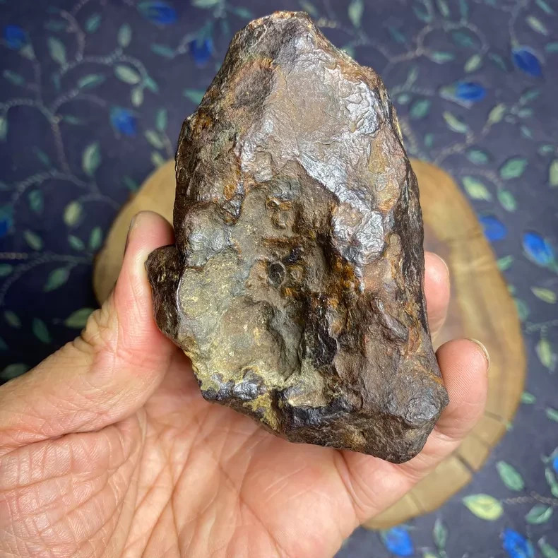 Muonionalusta South Dan iron meteorite exquisite specimen meteorite 991G