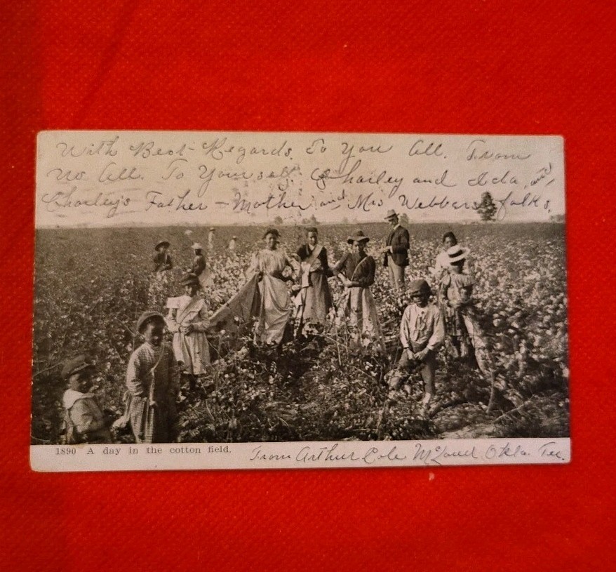 RPPC 1906 Rare early Black Workers In Cottonfield. Photo Taken 1890 Black White RPPC 1906 Rare early Black Workers In Cottonfield. Photo Taken 1890 Black White