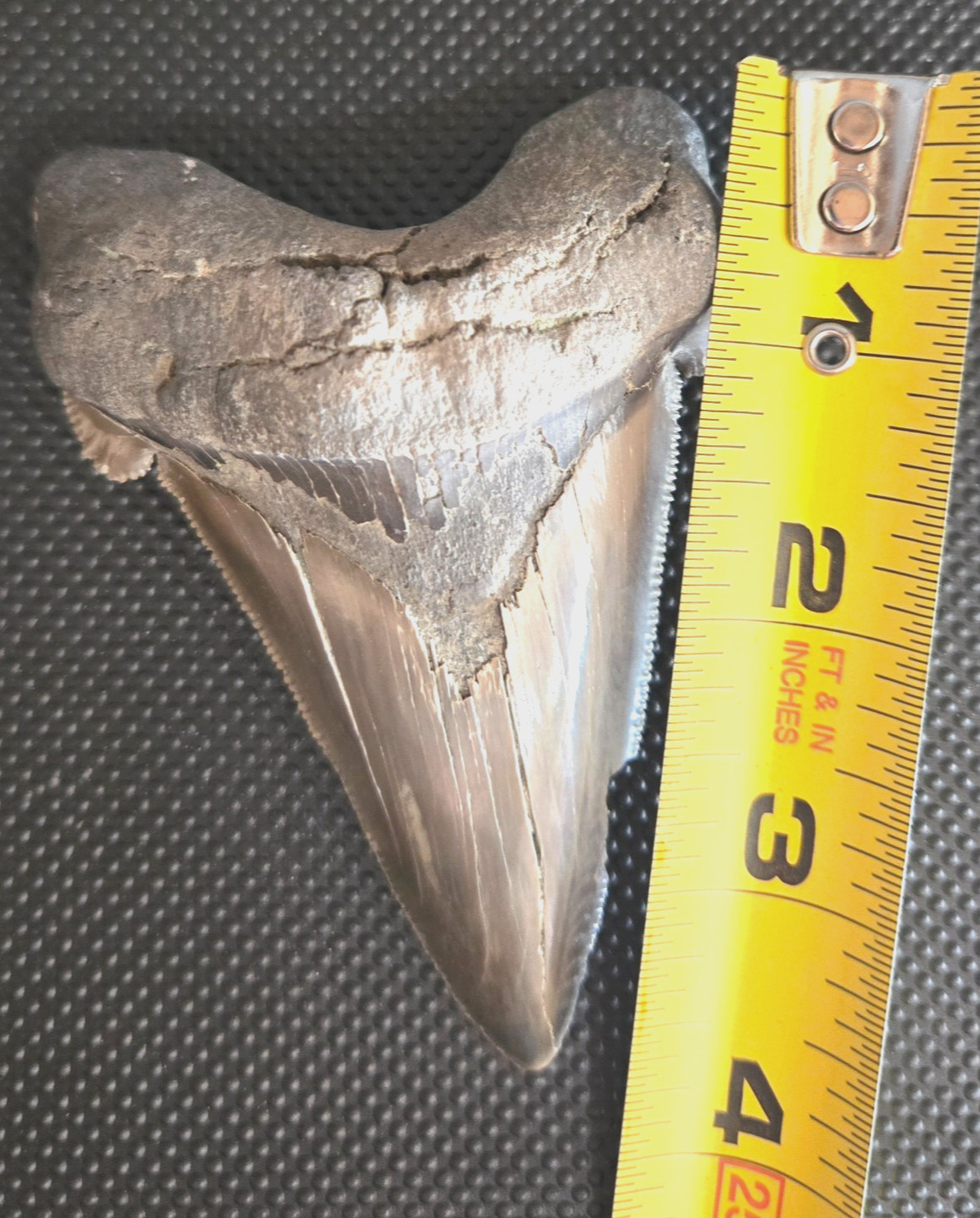 LARGE 3.5\
