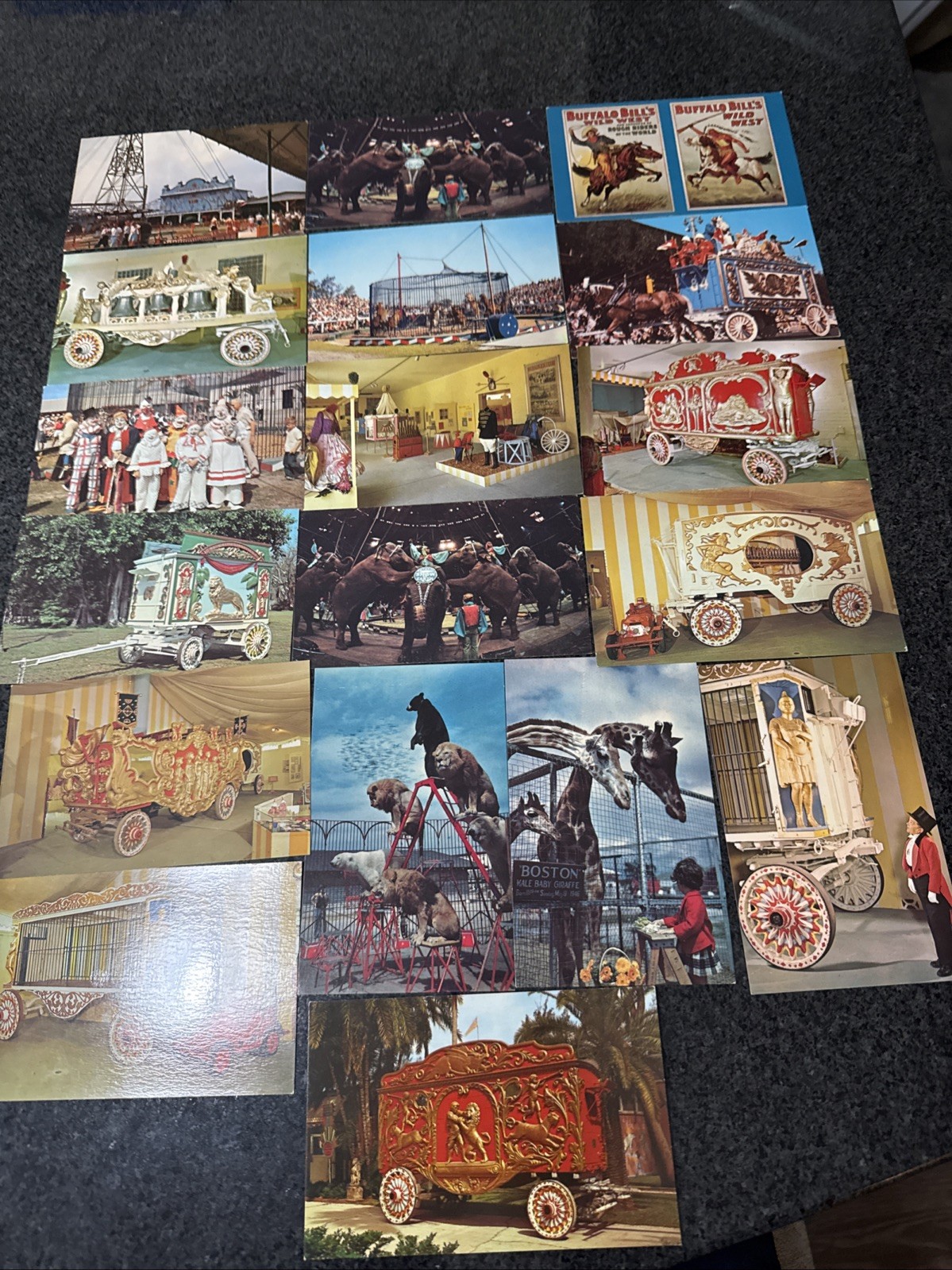 Lot Of 18 Ringling Brothers Museum Sarasota, FL - And More Rare Vintage Postcard Lot Of 18 Ringling Brothers Museum Sarasota, FL - And More Rare Vintage Postcard