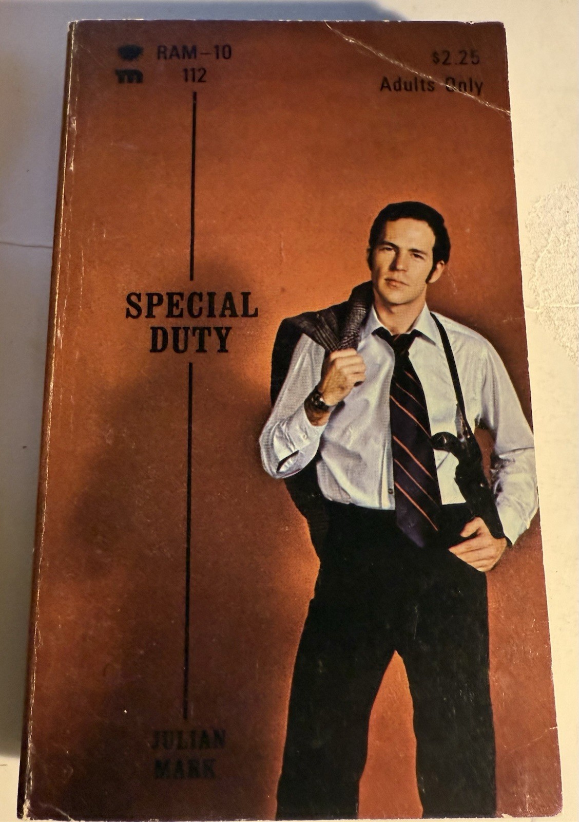 SPECIAL DUTY -1975 JULIAN MARK VTG PULP NOVEL HAMILTON HOUSE RAM-10 GAY INTEREST