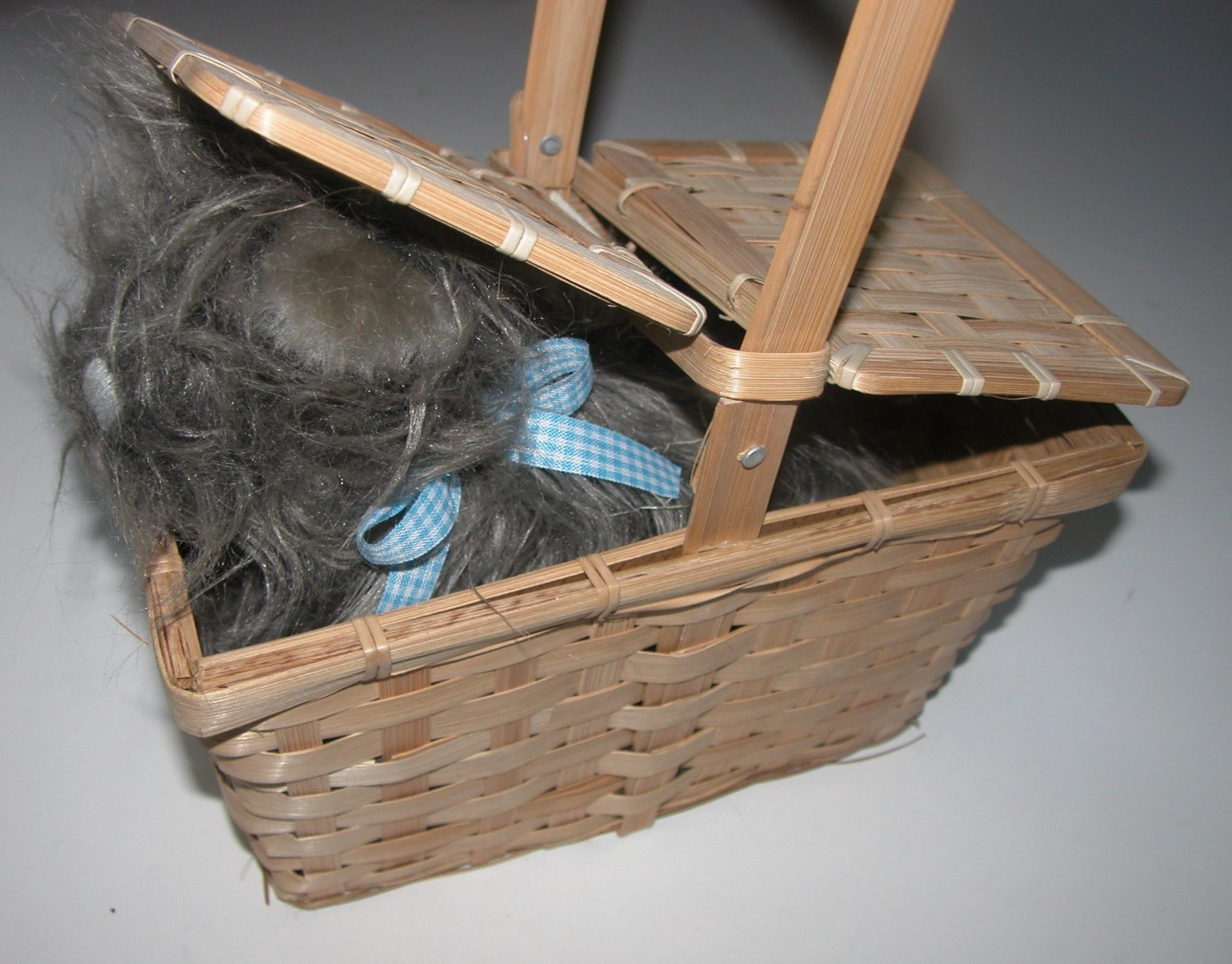 NEW NIP Halloween Costume  Wizard of Oz Basket Toto