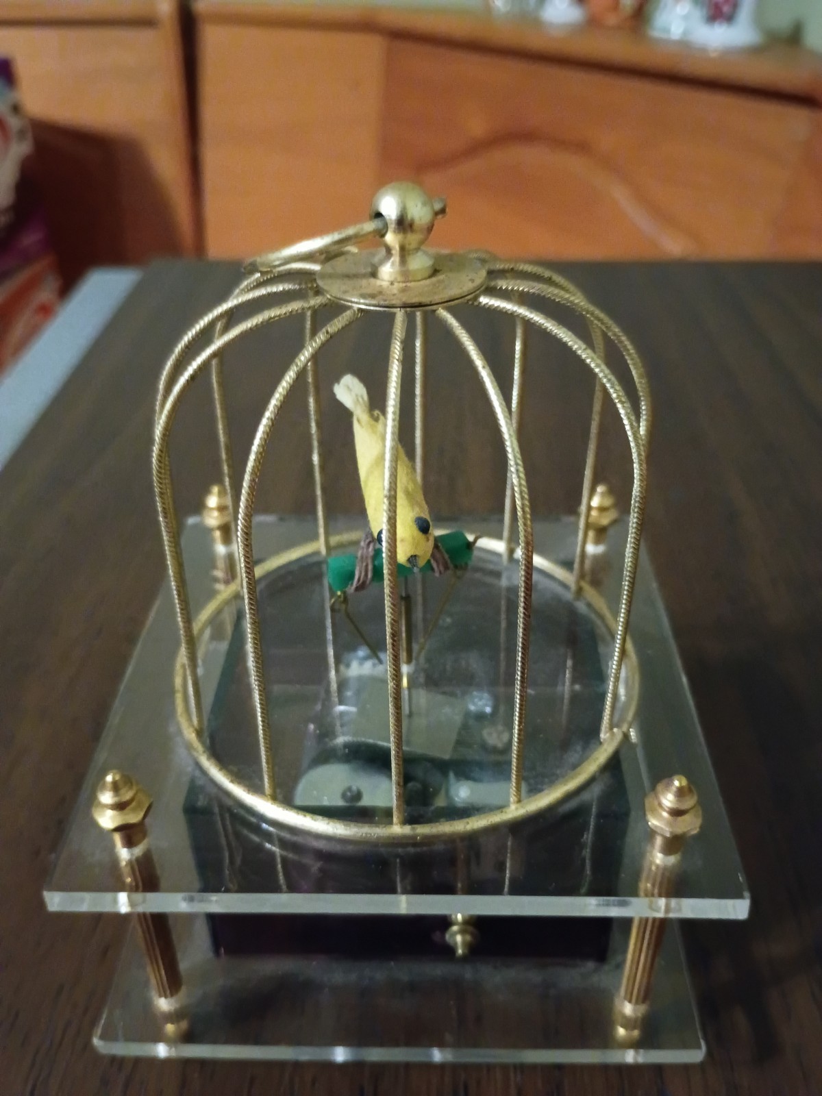 Vintage Sankyo clear lucite bird-in-a-cage music box Works(Cheapest On eBay) Vintage Sankyo clear lucite bird-in-a-cage music box Works(Cheapest On eBay)
