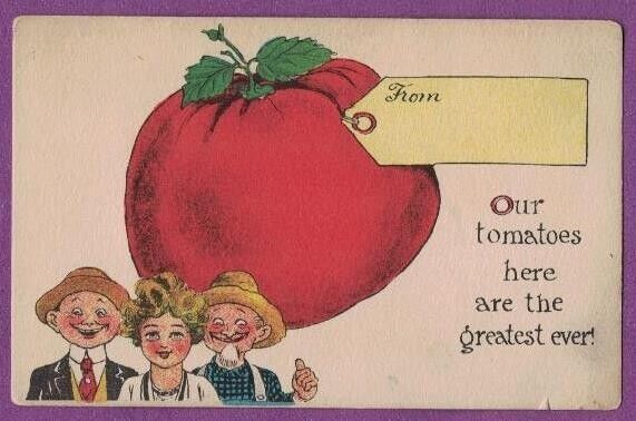 GIANT TOMATO EXAGGERATED VTG PC FARMERS OUR TOMATOES HERE ARE THE GREATEST EVER