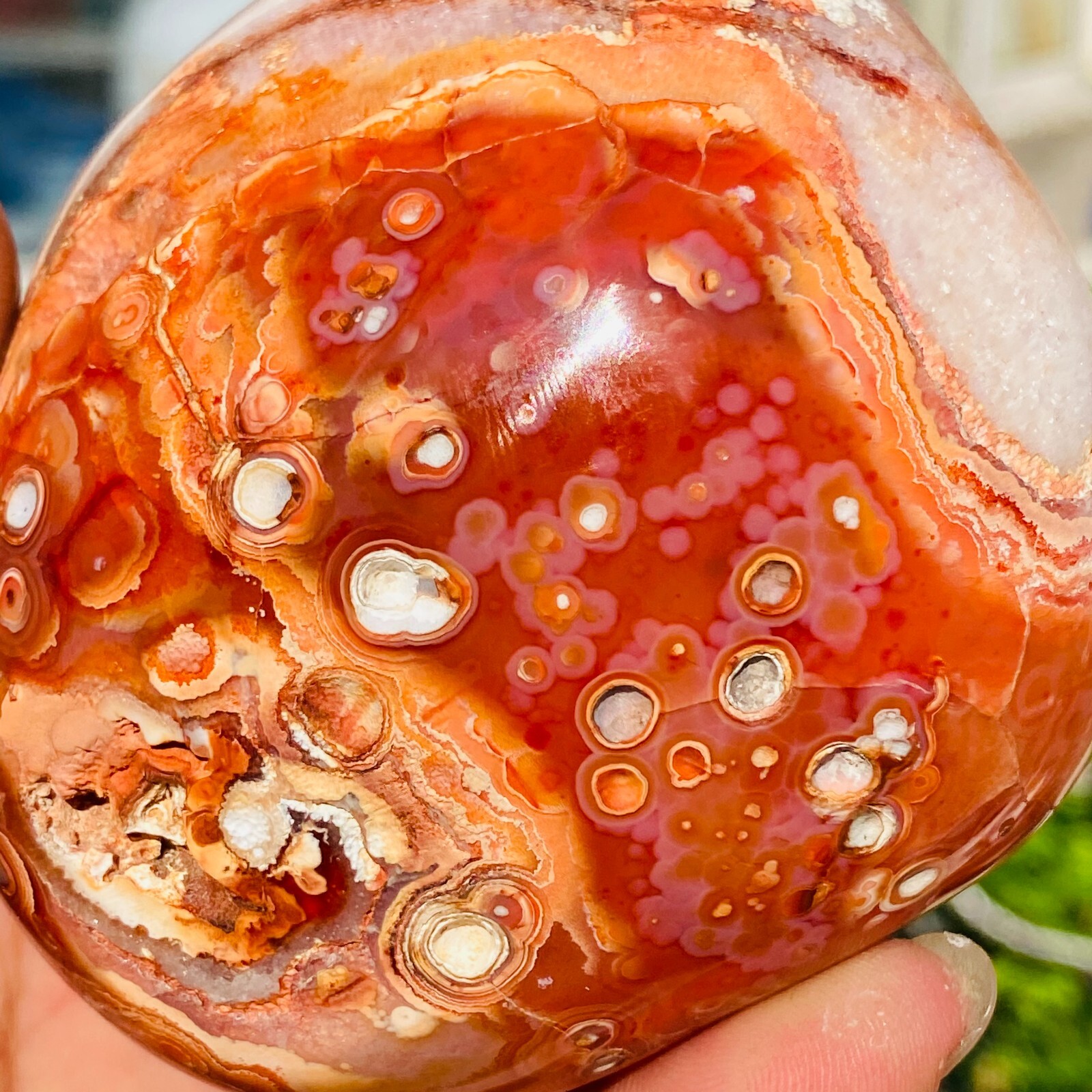 547g Large Red Agate Natural Carnelian Quartz Crystal Palm Stone Specimen