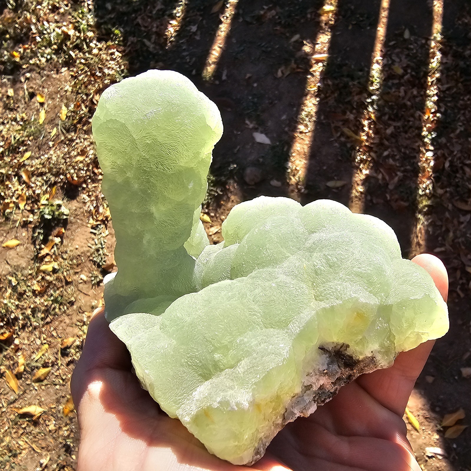 ☆World Class Prehnite Stalactite \ ☆World Class Prehnite Stalactite \