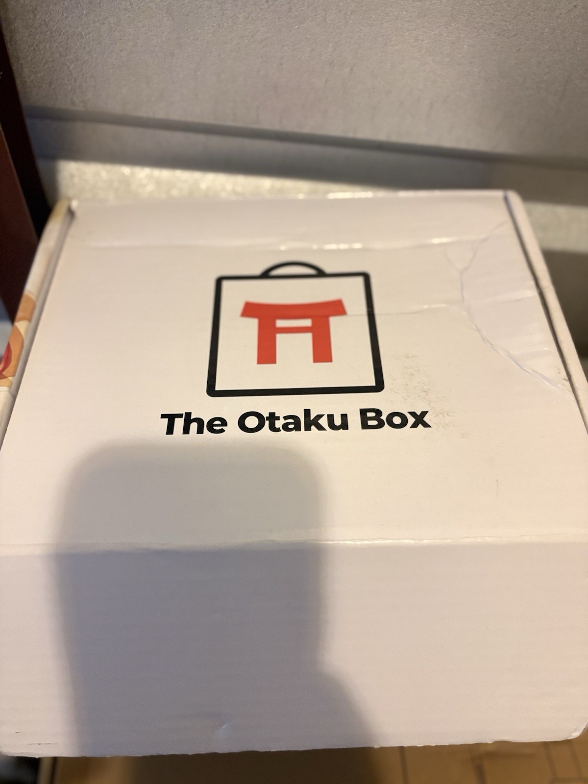 The Otaku Box Control Bunny Exclusive 1:9 Scale Anime & Manga Figure Box