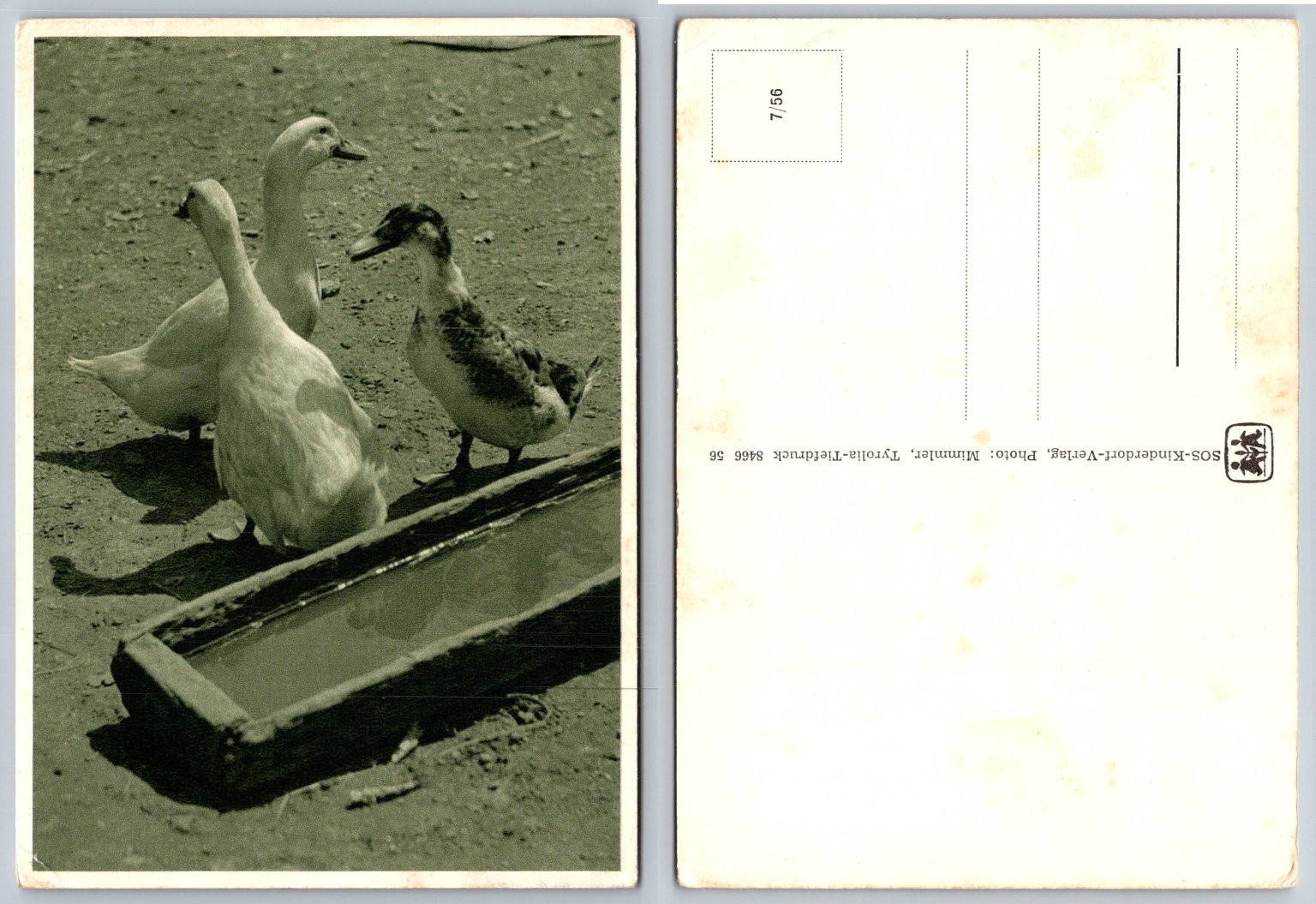 1956 SOS-Kinderdorf Verlag Postcard Geese Duck Tyrolia Tiefdruck 1956 SOS-Kinderdorf Verlag Postcard Geese Duck Tyrolia Tiefdruck