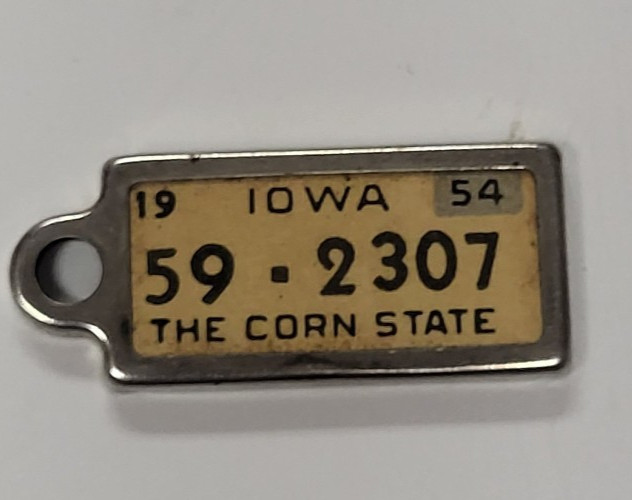Vintage 1954 DAV Iowa License Plate Keychain Tag Fob 59-2307 Vintage 1954 DAV Iowa License Plate Keychain Tag Fob 59-2307